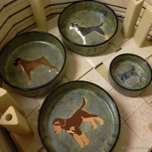 Hand Painted Custom Dog Bowls